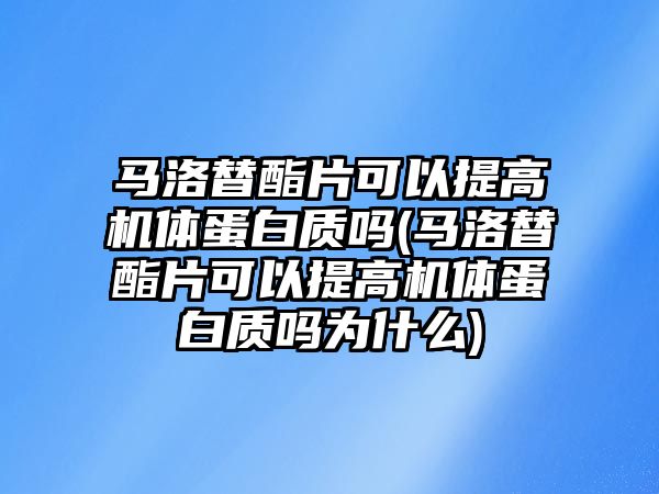 馬洛替酯片可以提高機體蛋白質嗎(馬洛替酯片可以提高機體蛋白質嗎為什么)