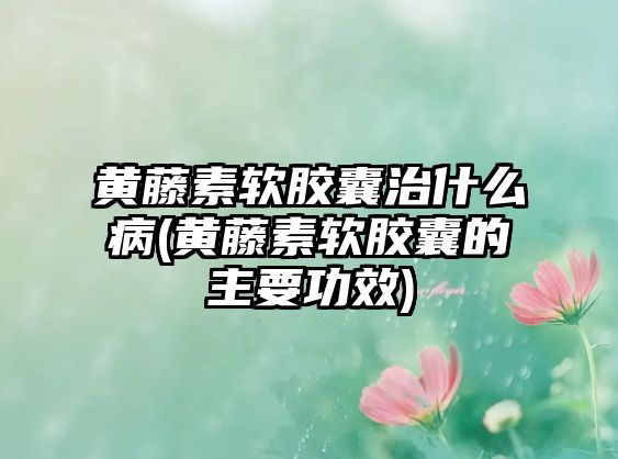 黃藤素軟膠囊治什么病(黃藤素軟膠囊的主要功效)