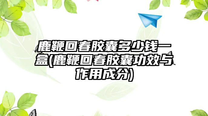 鹿鞭回春膠囊多少錢一盒(鹿鞭回春膠囊功效與作用成分)