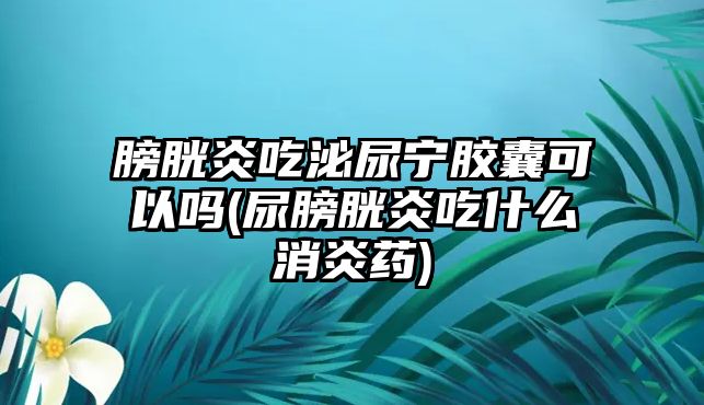 膀胱炎吃泌尿寧膠囊可以嗎(尿膀胱炎吃什么消炎藥)