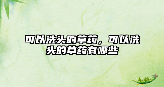 可以洗頭的草藥，可以洗頭的草藥有哪些