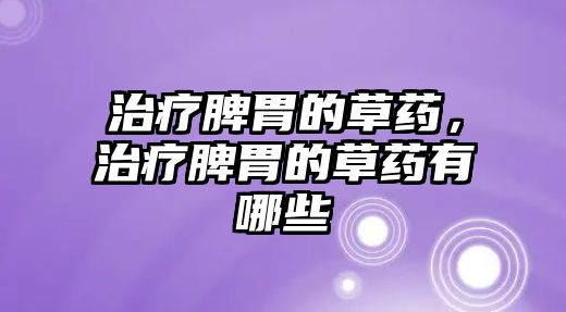 治療脾胃的草藥，治療脾胃的草藥有哪些