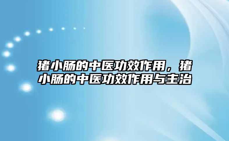 豬小腸的中醫功效作用，豬小腸的中醫功效作用與主治