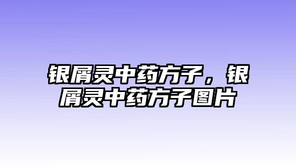 銀屑靈中藥方子，銀屑靈中藥方子圖片