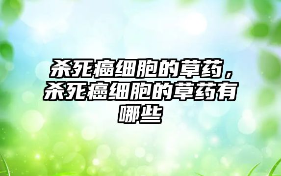 殺死癌細胞的草藥，殺死癌細胞的草藥有哪些