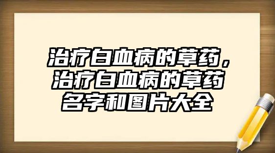 治療白血病的草藥，治療白血病的草藥名字和圖片大全