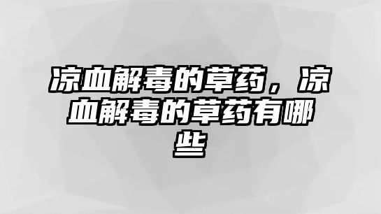 涼血解毒的草藥，涼血解毒的草藥有哪些