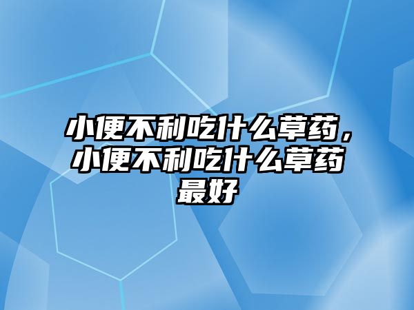 小便不利吃什么草藥，小便不利吃什么草藥最好