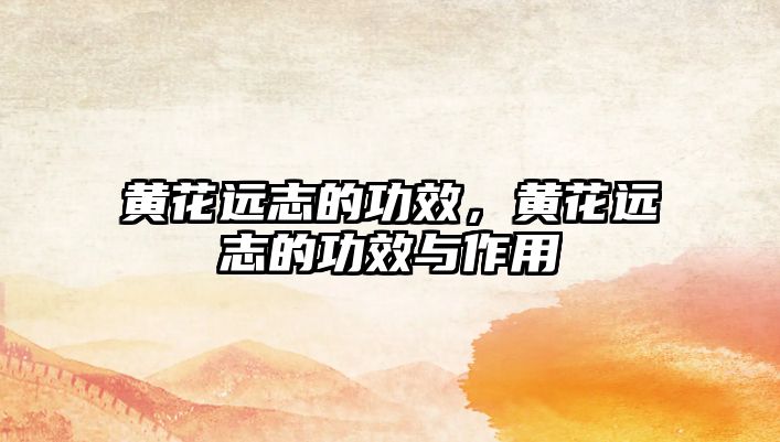 黃花遠(yuǎn)志的功效，黃花遠(yuǎn)志的功效與作用