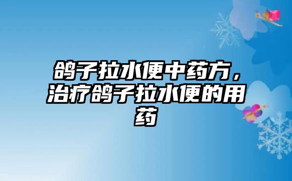 鴿子拉水便中藥方，治療鴿子拉水便的用藥