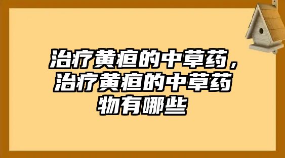 治療黃疸的中草藥，治療黃疸的中草藥物有哪些