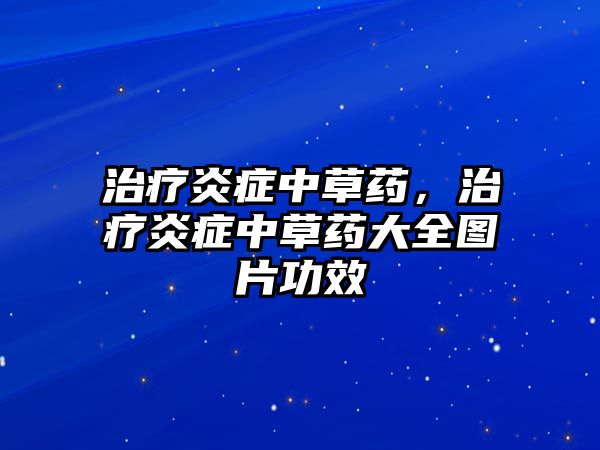 治療炎癥中草藥，治療炎癥中草藥大全圖片功效