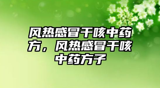 風熱感冒干咳中藥方，風熱感冒干咳中藥方子